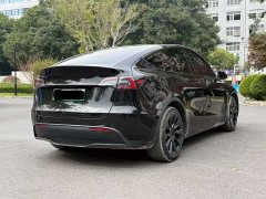 Tesla Model Y 2023 rear-wheel drive version - фото 5