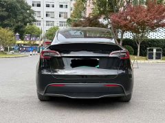 Tesla Model Y 2023 rear-wheel drive version - фото 6