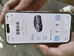 Baojun 460 Max - фото 12
