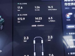 Li Auto L7 MAX - фото 15