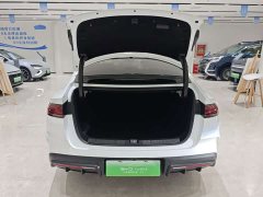 BYD L DM-i Smart Drive Edition 120KM Version - фото 15