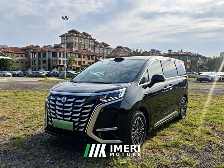 Denza D9 DM-i Smart Drive Edition 1020 AWDFlagship Version - автомобиль из Китая