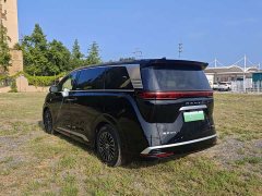 Denza D9 DM-i Smart Drive Edition 1020 AWDFlagship Version - фото 13