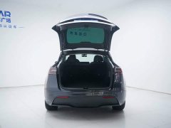 Tesla Model Y Edition - фото 9