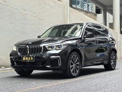 BMW X5 xDrive 30Li Deluxe VersionM - фото 1