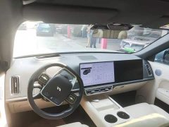 Li Auto L9 Max - фото 3