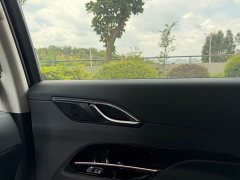 Hongqi HS3 PHEV 125km PLUS 200Anniversary Edition - фото 13