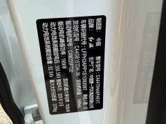 Hongqi HS3 PHEV 125km PLUS 200Anniversary Edition - фото 18