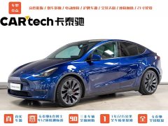 Tesla Model Y PerformancePerformance Edition - фото 1