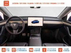 Tesla Model Y PerformancePerformance Edition - фото 10