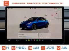 Tesla Model Y PerformancePerformance Edition - фото 12