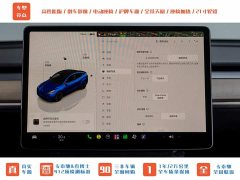 Tesla Model Y PerformancePerformance Edition - фото 14