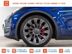 Tesla Model Y PerformancePerformance Edition - фото 19