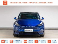 Tesla Model Y PerformancePerformance Edition - фото 2