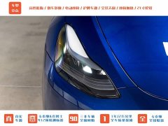 Tesla Model Y PerformancePerformance Edition - фото 3