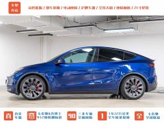 Tesla Model Y PerformancePerformance Edition - фото 4