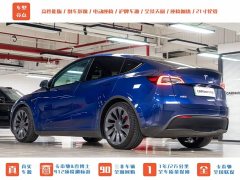 Tesla Model Y PerformancePerformance Edition - фото 5