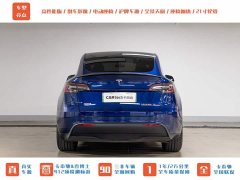 Tesla Model Y PerformancePerformance Edition - фото 7