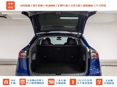 Tesla Model Y PerformancePerformance Edition - фото 8