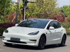 Tesla Model 3 Standard Range Rear Drive Upgraded Version - фото 1