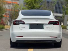 Tesla Model 3 Standard Range Rear Drive Upgraded Version - фото 10