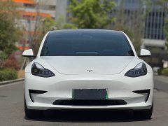Tesla Model 3 Standard Range Rear Drive Upgraded Version - фото 3