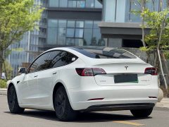 Tesla Model 3 Standard Range Rear Drive Upgraded Version - фото 8