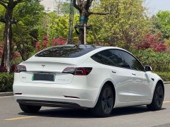 Tesla Model 3 Standard Range Rear Drive Upgraded Version - фото 9
