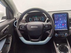 BYD Edition 30kW 408km - фото 11