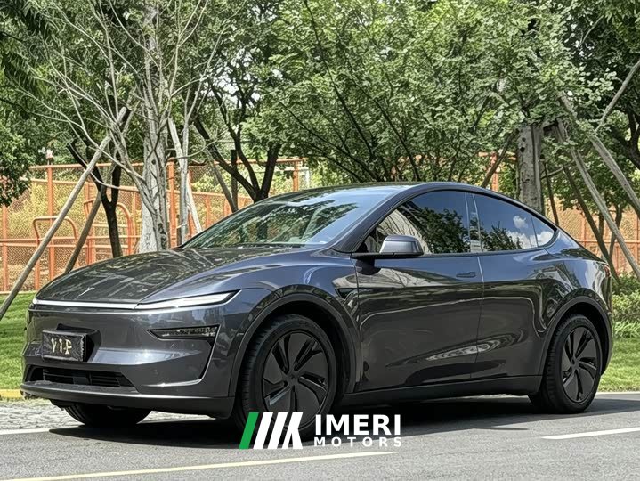 Tesla Model Y rear-wheel drive version - автомобиль из Китая