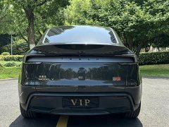 Tesla Model Y rear-wheel drive version - фото 10