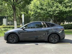Tesla Model Y rear-wheel drive version - фото 8
