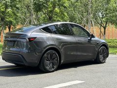 Tesla Model Y rear-wheel drive version - фото 9