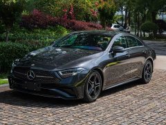 Mercedes-Benz CLS facelift CLS 300 dynamic version - фото 1