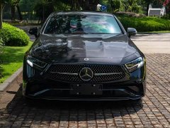 Mercedes-Benz CLS facelift CLS 300 dynamic version - фото 2