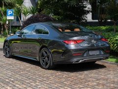 Mercedes-Benz CLS facelift CLS 300 dynamic version - фото 3