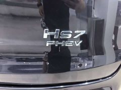 Hongqi HS7 PHEV 2.0T PHEV AWD Edition 6 - фото 17