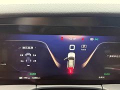 Hongqi E-HS9 690km Edition - фото 11