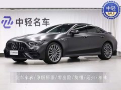 Mercedes-Benz AMG GT AMG GT 50 - фото 1