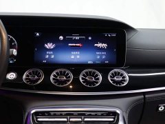 Mercedes-Benz AMG GT AMG GT 50 - фото 15