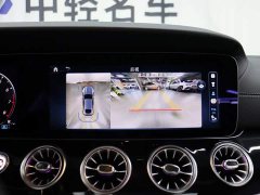 Mercedes-Benz AMG GT AMG GT 50 - фото 18