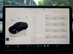 Tesla Model Y Edition - фото 11