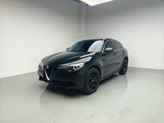 Zeekr Stelvio 2.0T 280HP Luxury Edition - фото 1