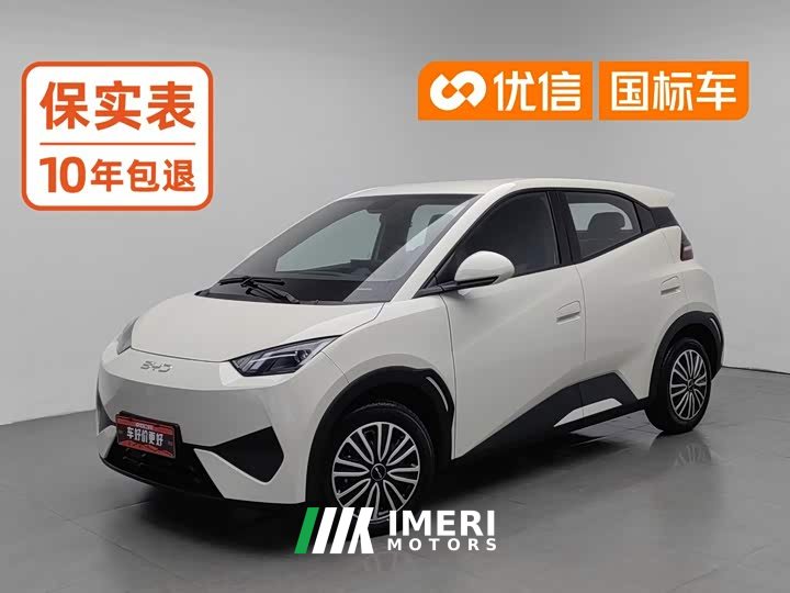 BYD Smart Drive Edition 305km Edition - автомобиль из Китая