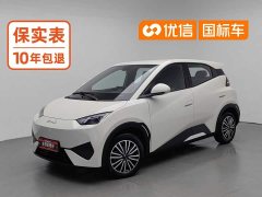 BYD Smart Drive Edition 305km Edition - фото 1