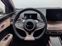 BYD Smart Drive Edition 305km Edition - фото 11