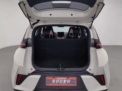 BYD Smart Drive Edition 305km Edition - фото 16