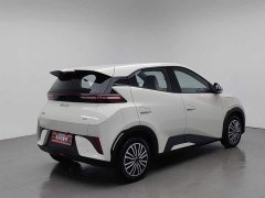 BYD Smart Drive Edition 305km Edition - фото 2