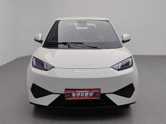 BYD Smart Drive Edition 305km Edition - фото 3
