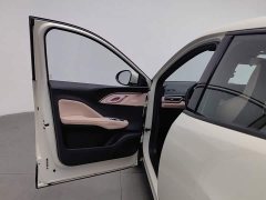 BYD Smart Drive Edition 305km Edition - фото 8